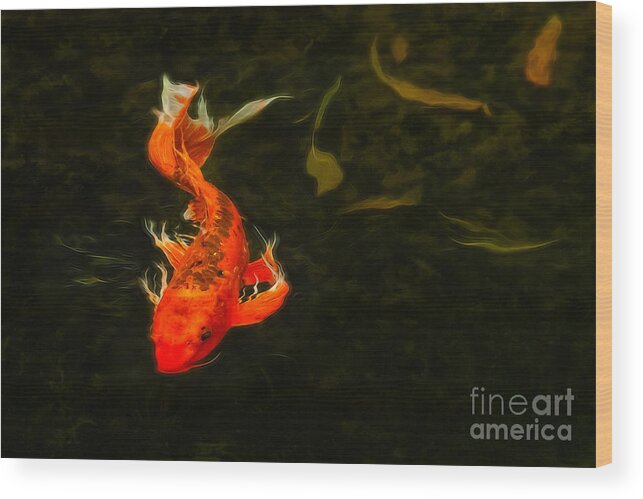 Koi Wood Print featuring the photograph Love Descends by Marilyn Cornwell