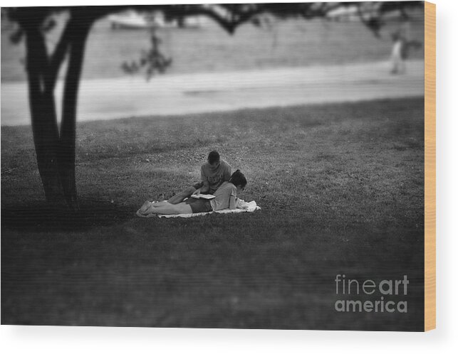  Midwest America Wood Print featuring the photograph Lovers Reading by the Lake by Frank J Casella