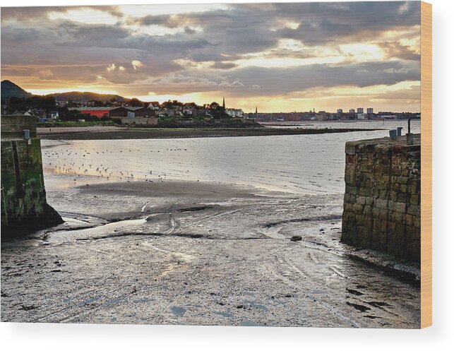 Low Tide Wood Print featuring the photograph Low tide in the coming night. by Elena Perelman