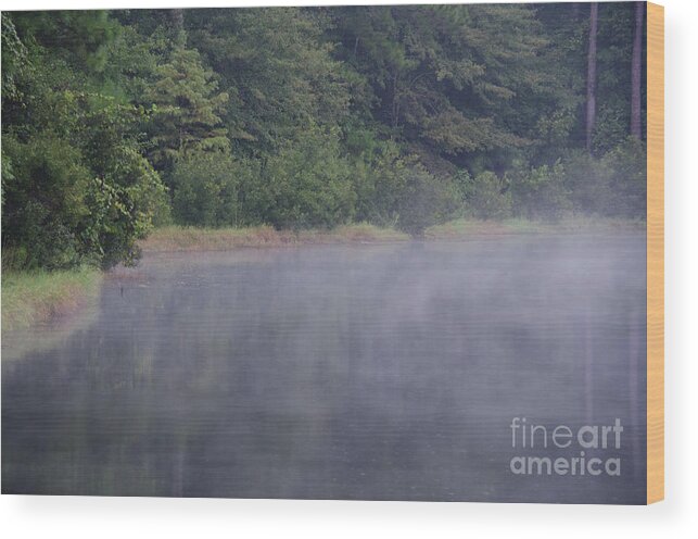 Fog Wood Print featuring the photograph Lowcountry Morning Lake Fog by Dale Powell