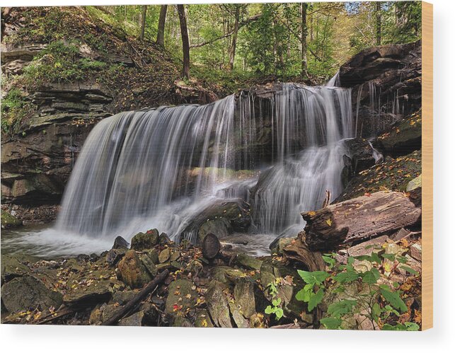Lower Tews Wood Print featuring the photograph Lower Tews Falls by David Dehner