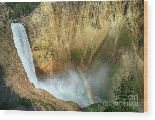 Waterfall Wood Print featuring the photograph Lower Yellowstone Falls and Rainbow by Teresa Zieba
