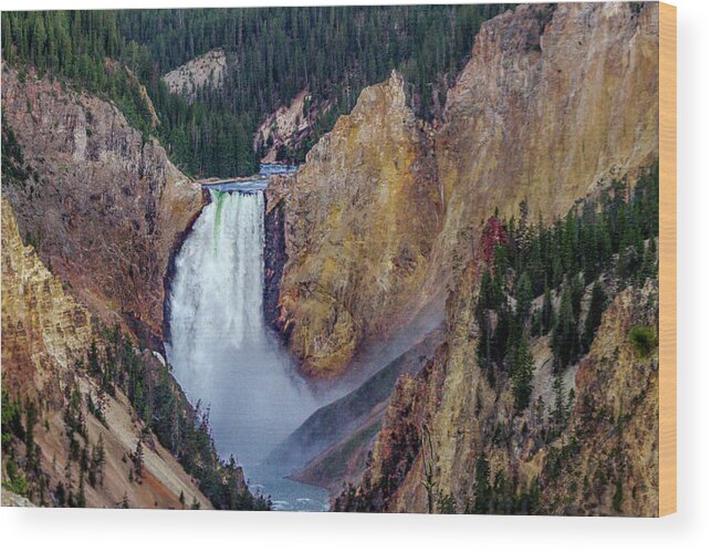 Yellowstone Wood Print featuring the photograph Lower Yellowstone Falls II by Bill Gallagher