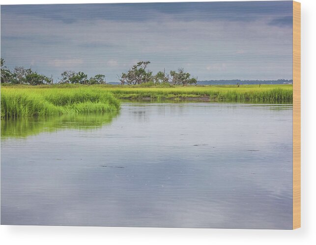 Amelia Island Wood Print featuring the photograph Lush Marsh 2 by Barbara Northrup