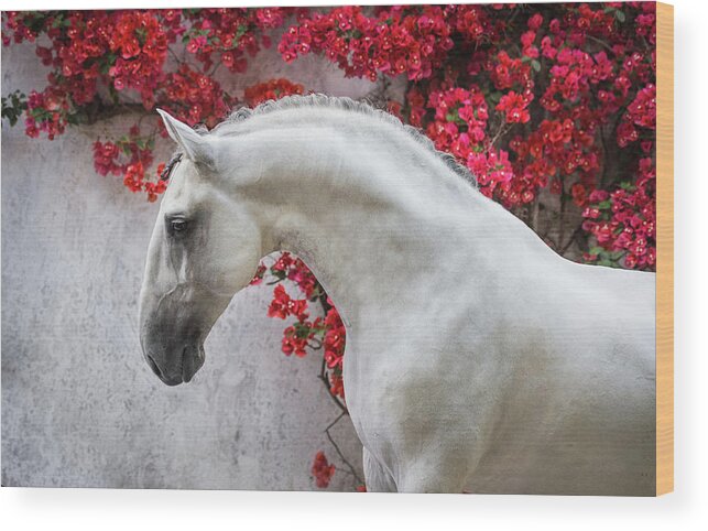 Russian Artists New Wave Wood Print featuring the photograph Lusitano Portrait in Red Flowers by Ekaterina Druz
