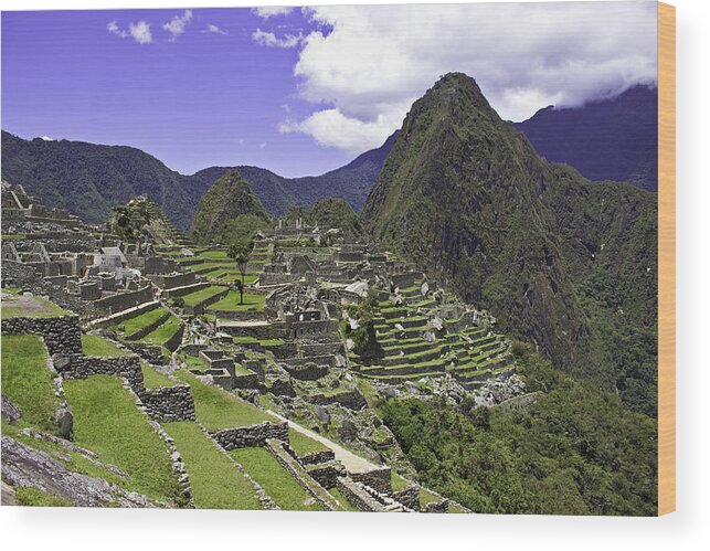 Machu Picchu Wood Print featuring the photograph Machu Picchu by Mark Harrington