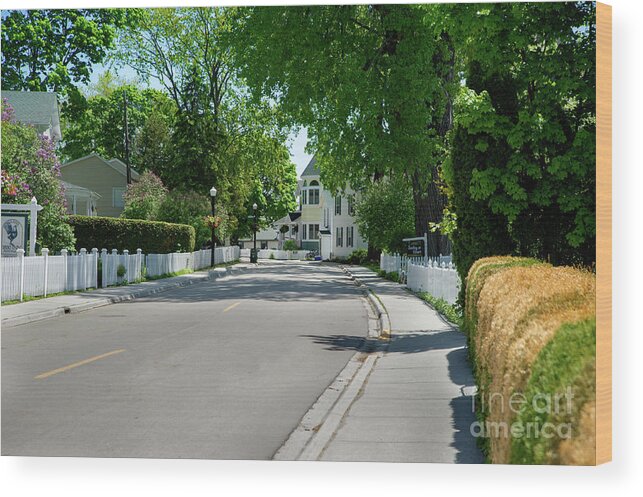 Michigan Wood Print featuring the photograph Mackinac Island Street by Ed Taylor