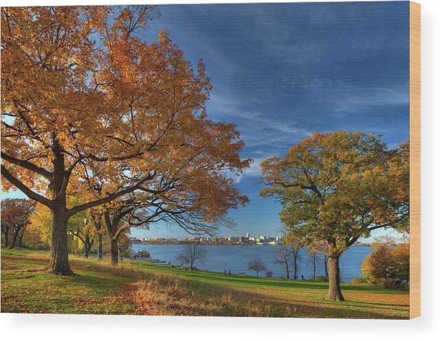 Olin Park Madison Wi Autumn Lake Monona Wisconsin Lake Fall Color Blue Yellow Capitol Wood Print featuring the photograph Madison across Lake Monona in Autumn Splendor from Olin Park by Peter Herman