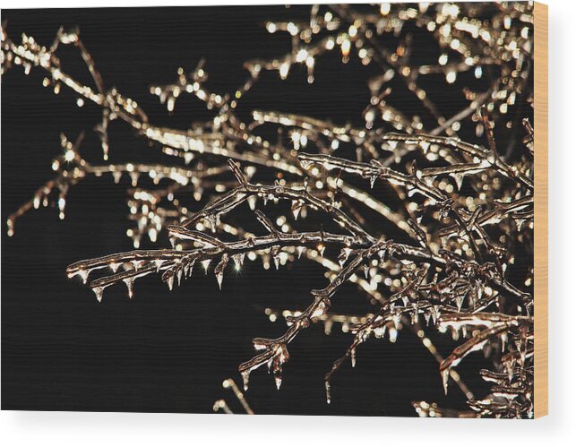 Nature Abstract Wood Print featuring the photograph Magic Show by Debbie Oppermann