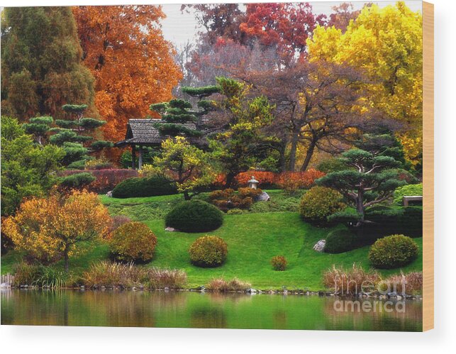 Magical Fall Colors At Chicago Botanic Garden Wood Print By Anna