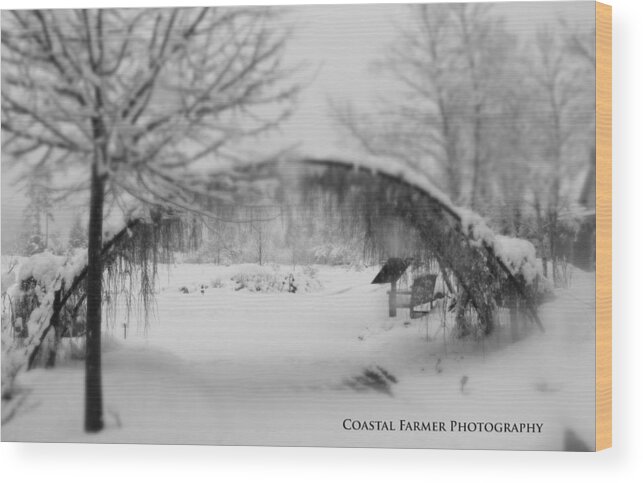 Winter Wood Print featuring the photograph Magical Wonderland by Becca Wilcox