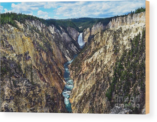 Lower Yellowstone Falls Wood Print featuring the photograph Magnificent Lower Yellowstone Falls by Catherine Sherman