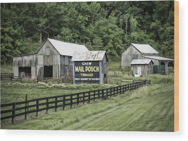 Mail Pouch Tobacco Barn Wood Print featuring the photograph Mail Pouch Tobacco Barn by Phyllis Taylor