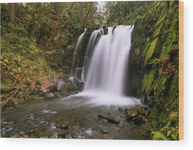 Autumn Wood Print featuring the photograph Majestic Falls by Catherine Avilez