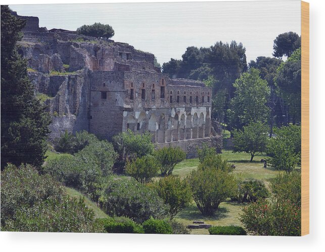 Pompeii Wood Print featuring the photograph Majestic Pompeii by Terence Davis