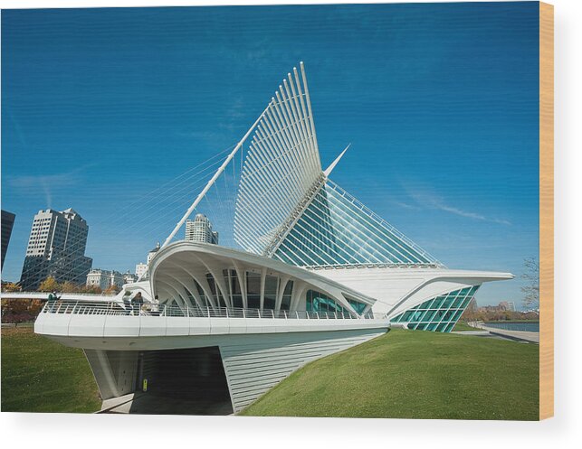 Milwaukee Wood Print featuring the photograph MAM by Steven Dunn