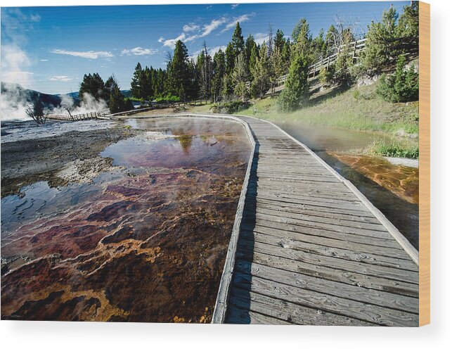 Nature Wood Print featuring the photograph Mammoth Hot Springs Boardwalk by Crystal Wightman