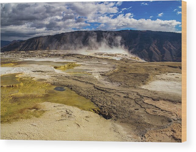 Destination Wood Print featuring the photograph Mammoth Hot Springs by Roslyn Wilkins