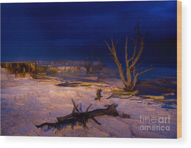 Mammoth Wood Print featuring the photograph Mammoth Upper Terrace Light Painted v1 by Katie LaSalle-Lowery