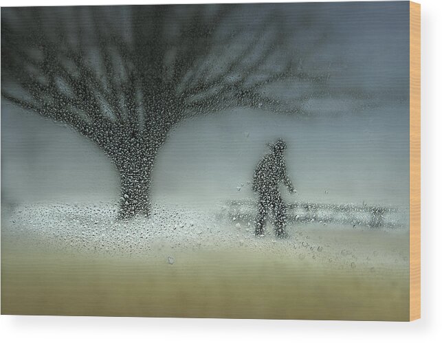Winter Wood Print featuring the photograph Man In Nature - Winter by Shenshen Dou