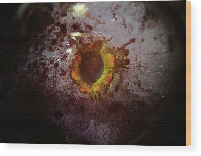 Grape Wood Print featuring the photograph Manfred's Sphincter by Kreddible Trout