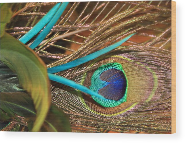 Peacock Wood Print featuring the photograph Many Feathers by Angela Murdock