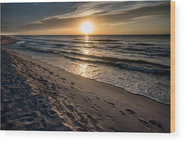 Alabama Wood Print featuring the photograph Many Footprints on the Beach by Michael Thomas