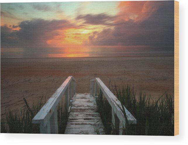 Florida Wood Print featuring the photograph Marineland Sunrise by Stefan Mazzola