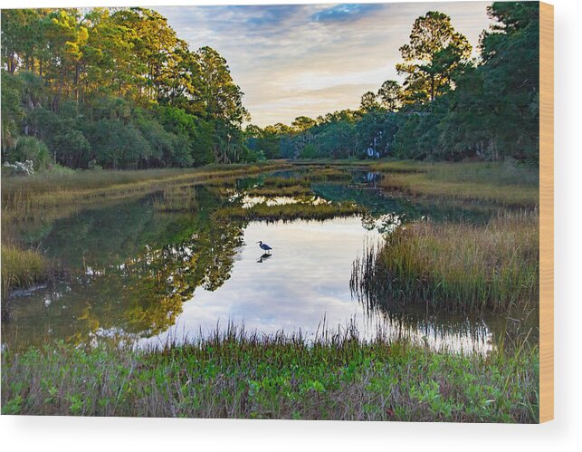 Seabrook Island Wood Print featuring the photograph Marsh in the Morning by Patricia Schaefer