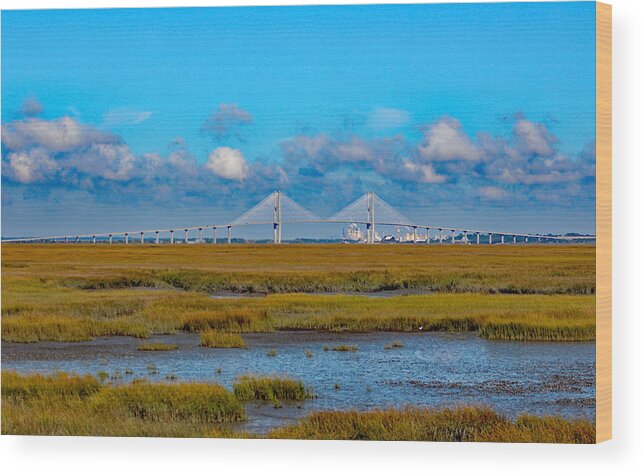 Nature Wood Print featuring the photograph Marsh-Sidney Lanier Bridge by DB Hayes