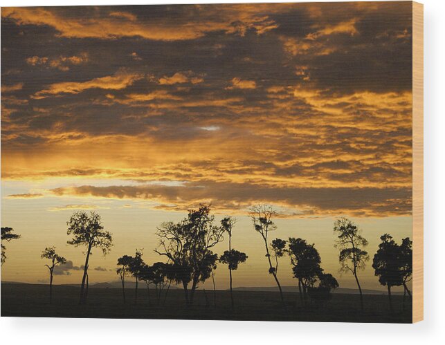 Africa Wood Print featuring the photograph Masai Mara Sunrise by Michele Burgess