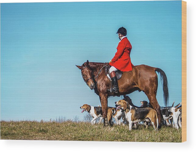 Foxhound Wood Print featuring the photograph Matlock and friends by Pamela Taylor