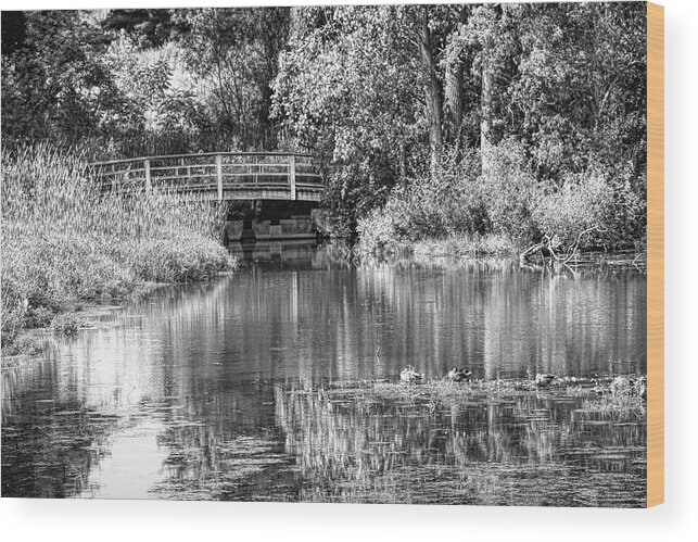 Seo Wood Print featuring the photograph Matthaei Botanical Gardens Black and White by Pat Cook