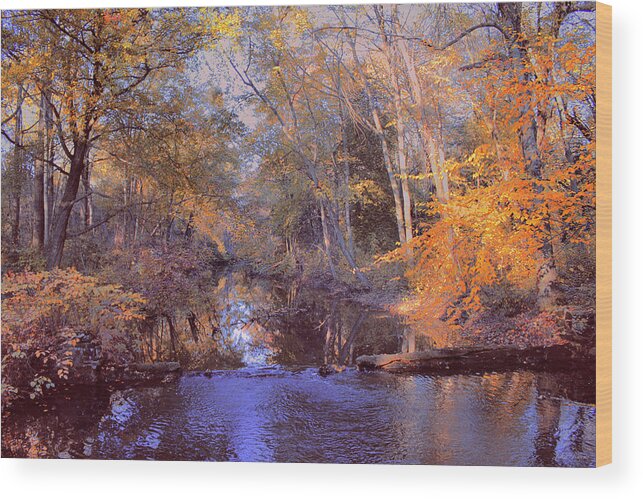 Landscape Wood Print featuring the photograph Maxfield Dreaming by John Rivera