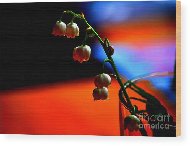 May Flowers Wood Print featuring the photograph May Flowers by Susanne Van Hulst