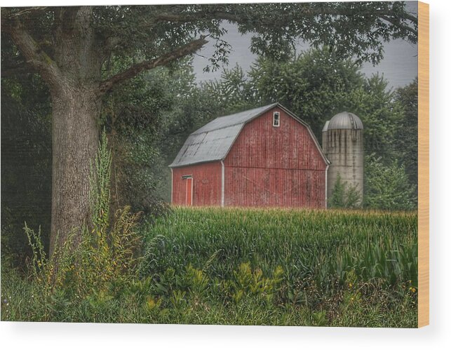 Barn Wood Print featuring the photograph 0027 - Mayville's Lapeer Road Red by Sheryl L Sutter