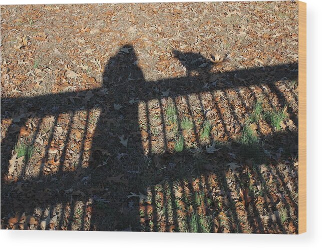 Shadow Wood Print featuring the photograph Me and My Shadow by Ali Baucom
