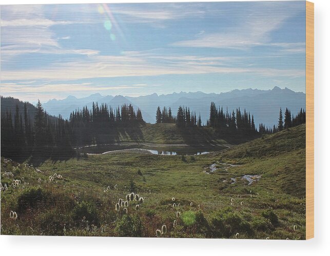 Mountain Wood Print featuring the photograph Meadow Mountain View by Cathie Douglas