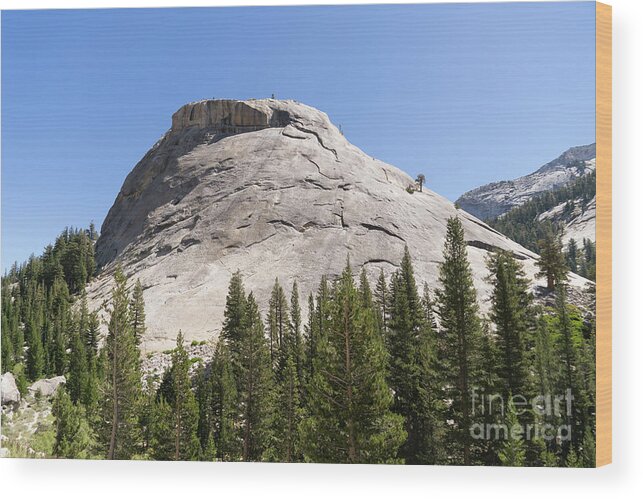 Wingsdomain Wood Print featuring the photograph Medlicott Dome Tioga Pass Yosemite California dsc04283 by Wingsdomain Art and Photography