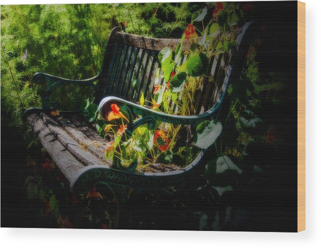 Bench Wood Print featuring the photograph Memories by Larry Goss