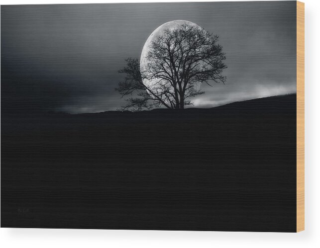 Landscape Wood Print featuring the photograph Memory of Trees Part Three by Bob Orsillo