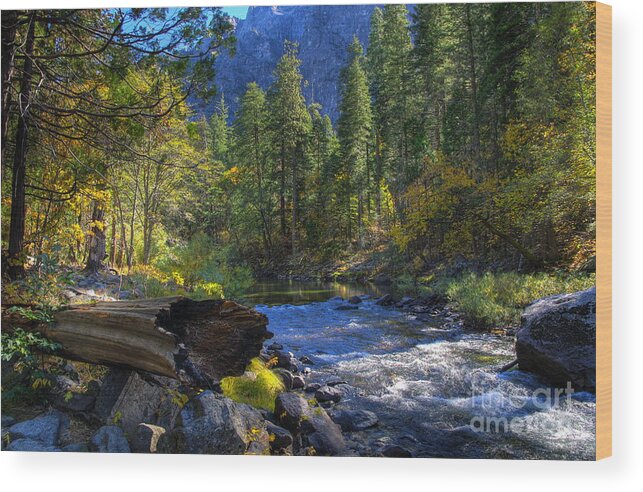 Yosemite Wood Print featuring the photograph Merced River by Alex Morales