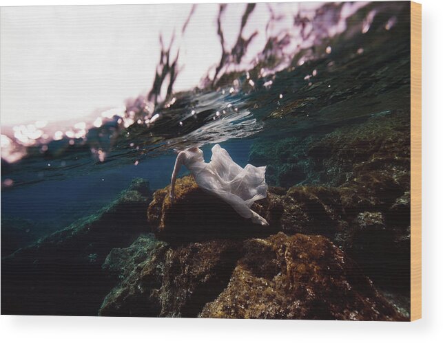 Swim Wood Print featuring the photograph Mermaid by Gemma Silvestre