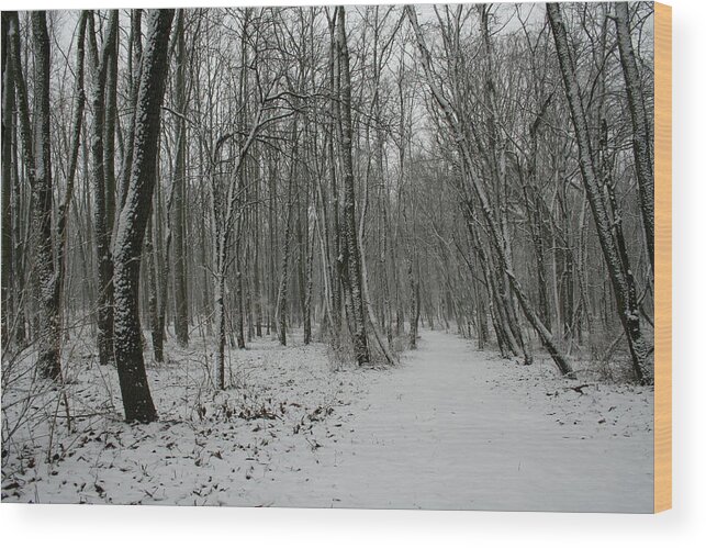 Merwin Snow Woods Wood Print featuring the photograph Merwin Snow Woods by Dylan Punke