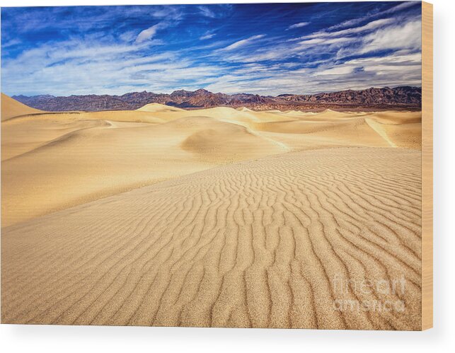 Sand Dunes Wood Print featuring the photograph Mesquite Flat Sand Dunes in Death Valley by Bryan Mullennix