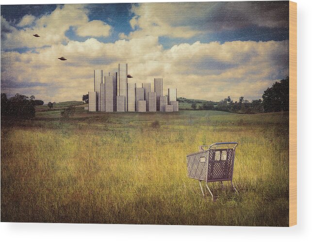 Landscape Wood Print featuring the photograph Metropolis by Tom Mc Nemar