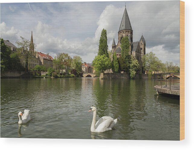 Metz Wood Print featuring the photograph Metz Swan and Goose by John Daly