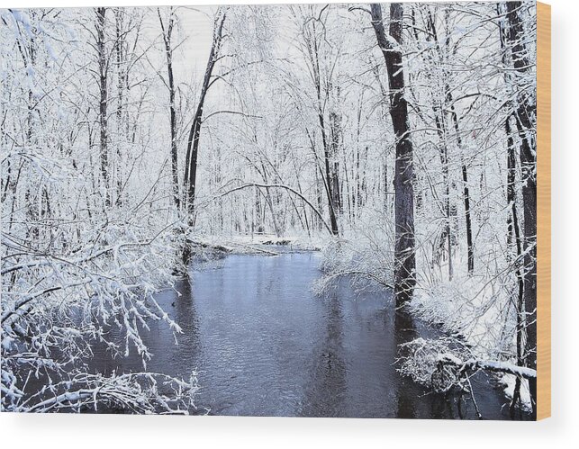 Hovind Wood Print featuring the photograph Michgan Winter 10 by Scott Hovind