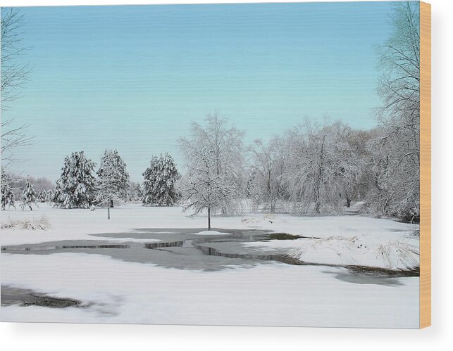 Hovind Wood Print featuring the photograph Michigan Winter 2 by Scott Hovind