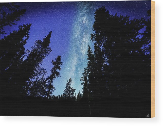 Stars Wood Print featuring the photograph Milky Way Among the Trees by Phil And Karen Rispin